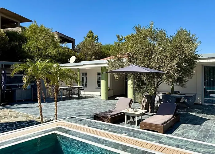 فيلة Casa Loma 2